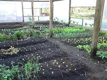 Hotel Recanto Sao Cristovao - Proximo Ao Parque Tarundu Campos do Jordão Brazylia