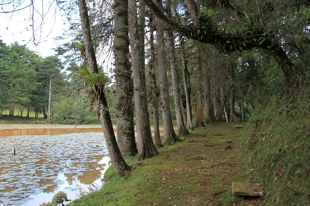 Hotel Recanto Sao Cristovao - Proximo Ao Parque Tarundu Campos do Jordão 3*,
